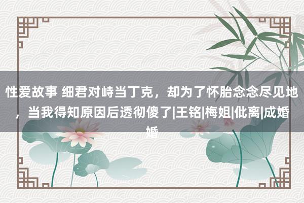 性爱故事 细君对峙当丁克，却为了怀胎念念尽见地，当我得知原因后透彻傻了|王铭|梅姐|仳离|成婚