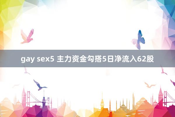 gay sex5 主力资金勾搭5日净流入62股