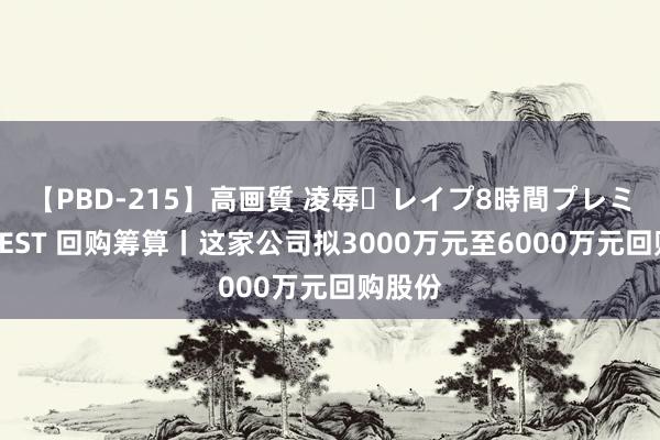 【PBD-215】高画質 凌辱・レイプ8時間プレミアムBEST 回购筹算丨这家公司拟3000万元至6000万元回购股份