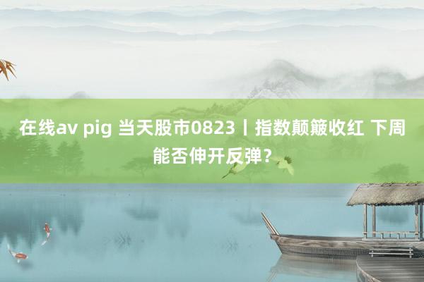 在线av pig 当天股市0823丨指数颠簸收红 下周能否伸开反弹？