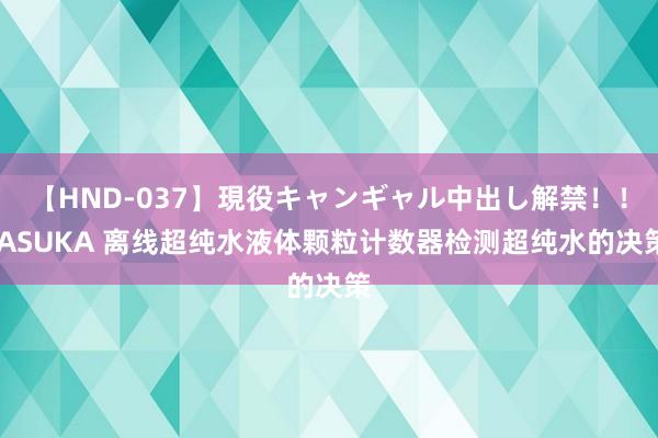 【HND-037】現役キャンギャル中出し解禁！！ ASUKA 离线超纯水液体颗粒计数器检测超纯水的决策