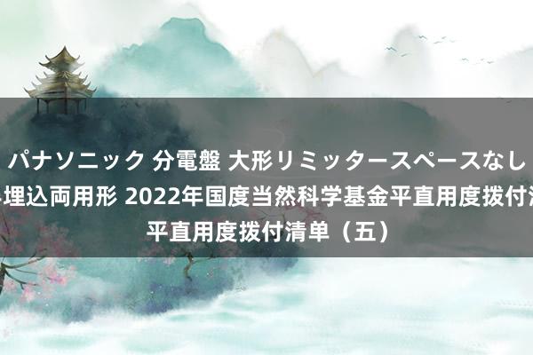 パナソニック 分電盤 大形リミッタースペースなし 露出・半埋込両用形 2022年国度当然科学基金平直用度拨付清单（五）