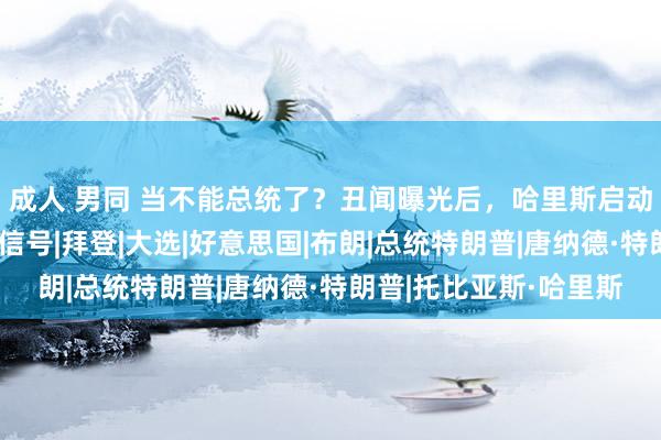 成人 男同 当不能总统了？丑闻曝光后，哈里斯启动自救，中国收到特地信号|拜登|大选|好意思国|布朗|总统特朗普|唐纳德·特朗普|托比亚斯·哈里斯