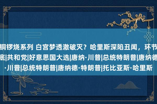 铜锣烧系列 白宫梦透澈破灭？哈里斯深陷丑闻，环节时刻，特朗普对华交底|共和党|好意思国大选|唐纳·川普|总统特朗普|唐纳德·特朗普|托比亚斯·哈里斯