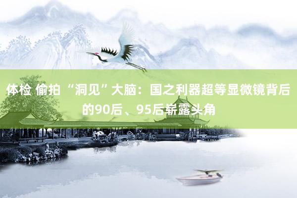 体检 偷拍 “洞见”大脑：国之利器超等显微镜背后的90后、95后崭露头角