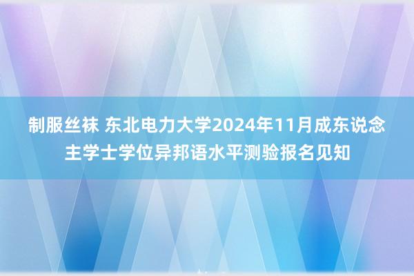 制服丝袜 东北电力大学2024年11月成东说念主学士学位异邦语水平测验报名见知