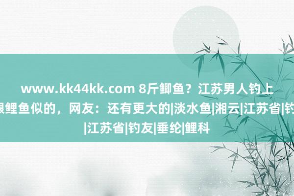 www.kk44kk.com 8斤鲫鱼？江苏男人钓上巨型鲫鱼，跟鲤鱼似的，网友：还有更大的|淡水鱼|湘云|江苏省|钓友|垂纶|鲤科