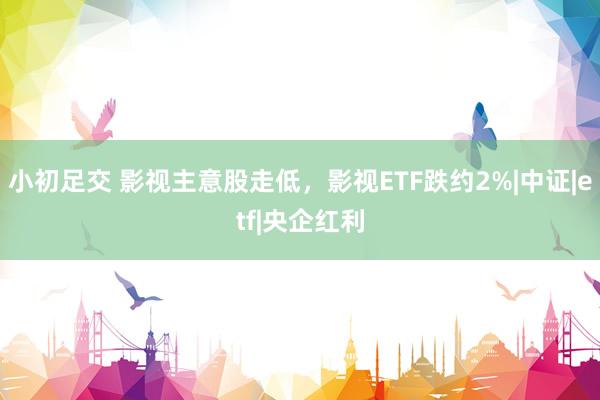 小初足交 影视主意股走低，影视ETF跌约2%|中证|etf|央企红利