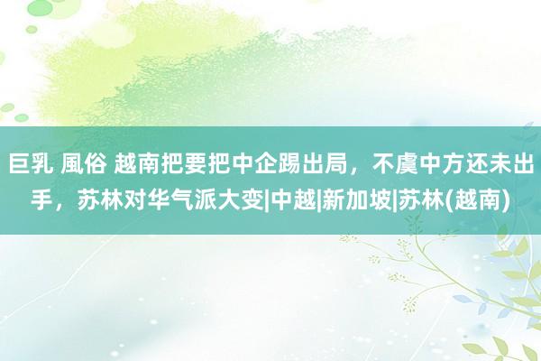 巨乳 風俗 越南把要把中企踢出局，不虞中方还未出手，苏林对华气派大变|中越|新加坡|苏林(越南)